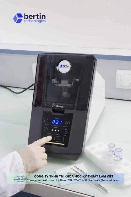 maynghienmominilys_3.jpg maynghienmominilys_3.jpg