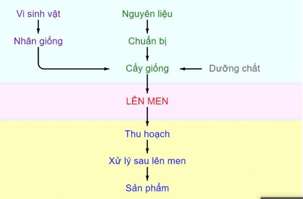 qua-trinh-len-men-co-ban Giản đồ cơ bản tổng quát quá trình lên men