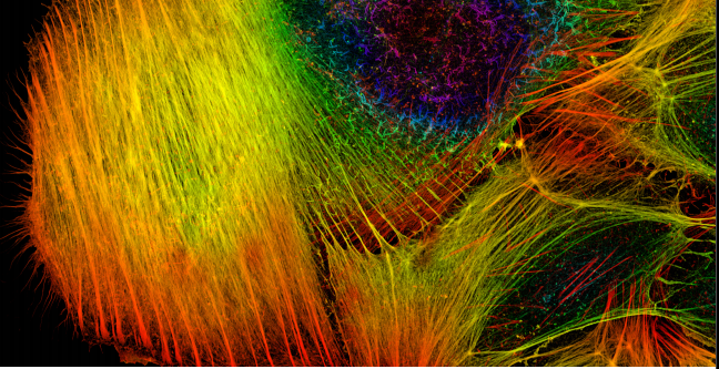 mauvatsoibangphuongphaphuynhquang.png mauvatsoibangphuongphaphuynhquang.png