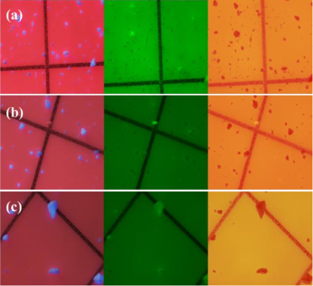 Quan-sat-mau-vi-nhua-bang-phuong-phap-huynh-quang mau-vi-nhua-soi-bang-kinh-hien-vi-huynh-quang