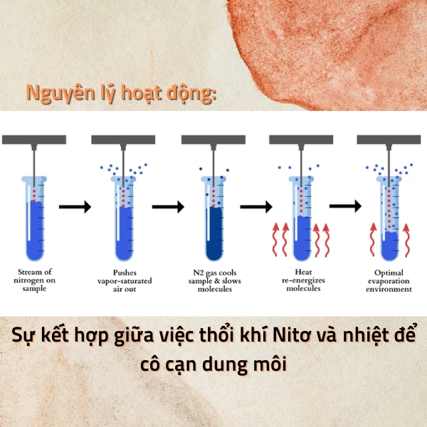 Nguyen-ly-hoat-dong-cua-dong-khi-thoi-kho-dung-moi Su-ket-hop-giua-viec-thoi-khi-lam-kho-va-nhiet-de-bay-hoi-dung-moi