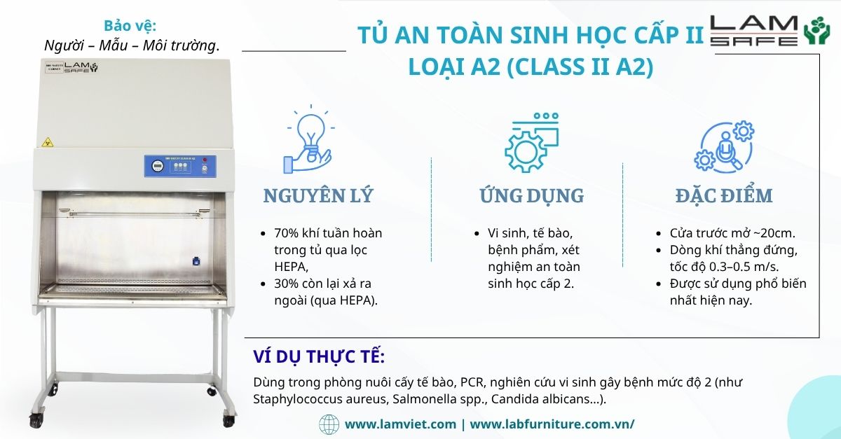 tu-an-toan-sinh-hoc-cap-2-a2-lamsafe.jpg tu-an-toan-sinh-hoc-cap-2-a2-lamsafe.jpg