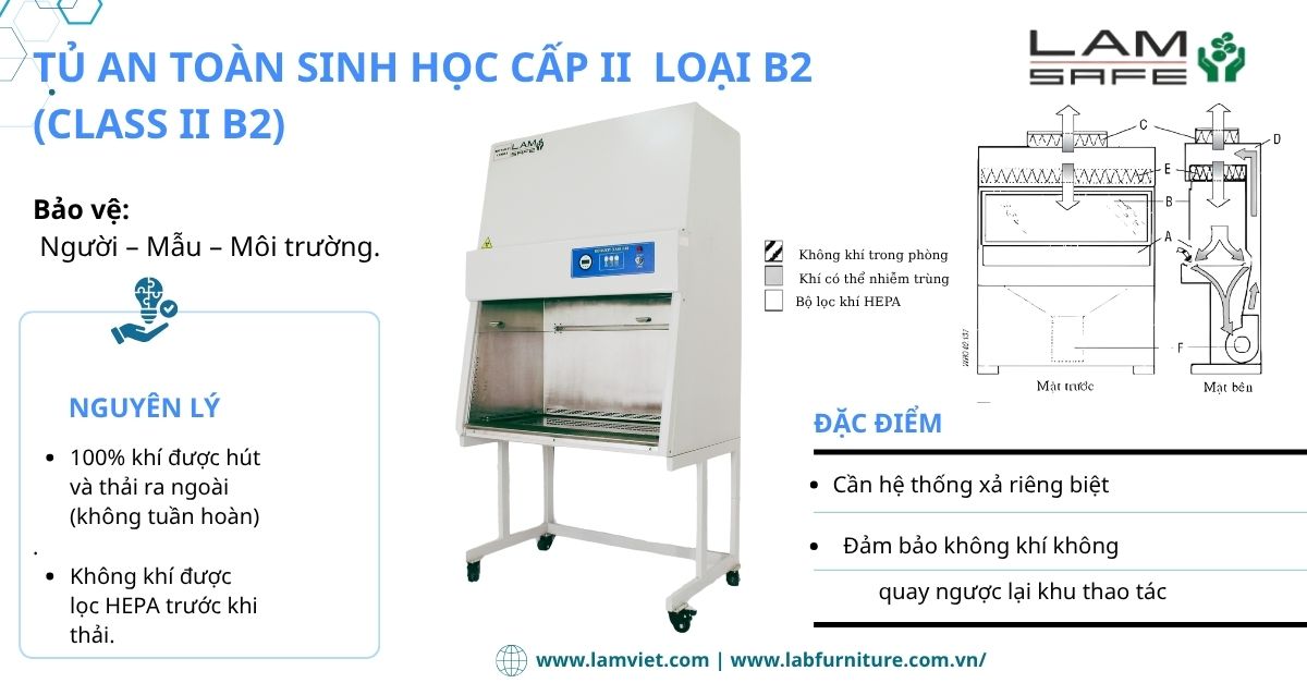 tu-an-toan-sinh-hoc-cap-2-B2-lamsafe.jpg tu-an-toan-sinh-hoc-cap-2-B2-lamsafe.jpg