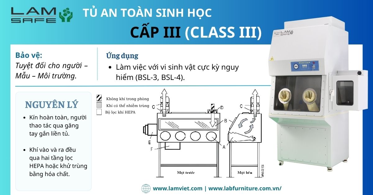 tu-an-toan-sinh-hoc-cap-3-lamsafe.jpg tu-an-toan-sinh-hoc-cap-3-lamsafe.jpg